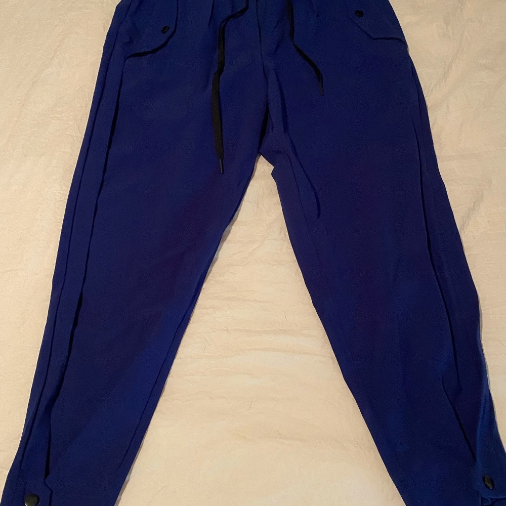 Pashko pants: Sanctuary - Cropped Pleated Stretch-Tech Travel Pants in New Blue